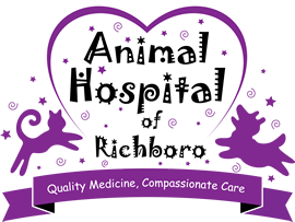 Aspca Pet Health Insurance Animal Hospital Of Richboro
